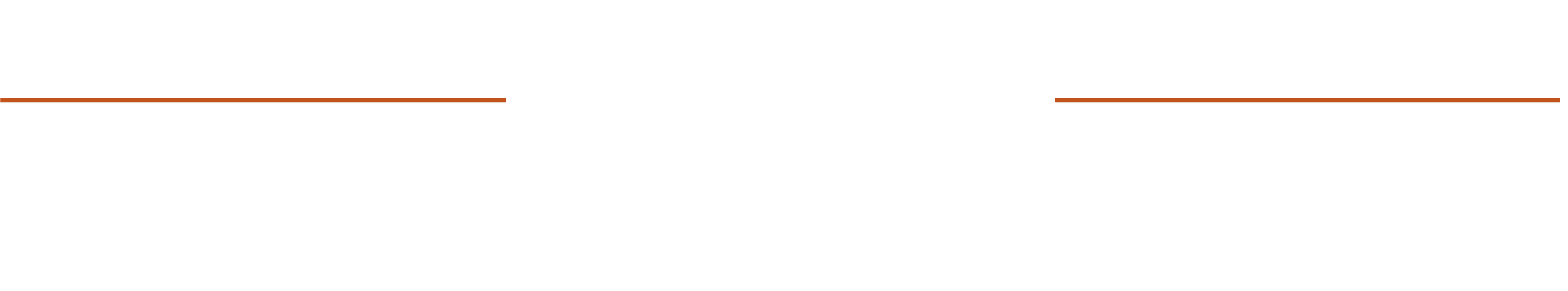 PClub 2023 logo wide P167 white