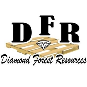 Diamond_forest-logo