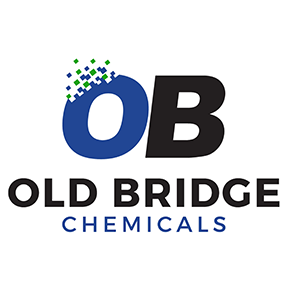 Old-Bridge_logo