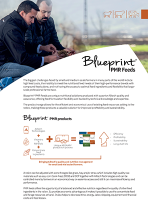 Blueprint-PMR-Feeds-Turkiye-Project
