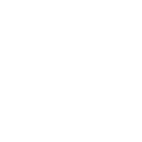 Digital PNG-icon-chicken-wht