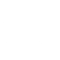 Digital PNG-icon-pig-wht