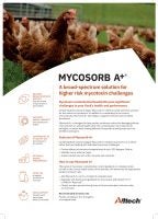 Mycosorb A+ Poultry Flyer