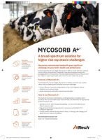 Mycosorb A+ Ruminant Flyer