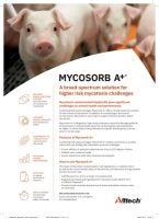 Mycosorb A+ Swine Flyer