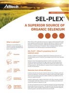 Sel-Plex® Organic Selenium Flyer