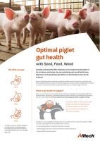 Optimal Gut Health - Seed, Weed, Feed image preview